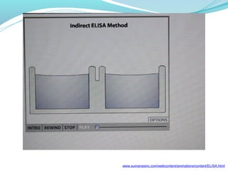 www.sumanasinc.com/webcontent/animations/content/ELISA.html
 