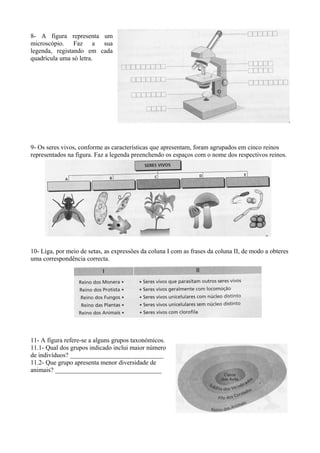 8- A figura representa um
microscópio. Faz a sua
legenda, registando em cada
quadrícula uma só letra.
9- Os seres vivos, conforme as características que apresentam, foram agrupados em cinco reinos
representados na figura. Faz a legenda preenchendo os espaços com o nome dos respectivos reinos.
10- Liga, por meio de setas, as expressões da coluna I com as frases da coluna II, de modo a obteres
uma correspondência correcta.
11- A figura refere-se a alguns grupos taxonómicos.
11.1- Qual dos grupos indicado inclui maior número
de indivíduos? _____________________________
11.2- Que grupo apresenta menor diversidade de
animais? _________________________________
 
