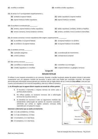Teste de Avaliação A de Ciências Naturais - Pág. 2 de 5
Prof. Ana Cristina Ferreira
(C) encéfalo e cerebelo. (D) encéfalo e bolbo raquidiano.
2.3. As letras E e F correspondem respetivamente a…
(A) cerebelo e espinal medula.
(B) espinal medula e bolbo raquidiano.
(C) bolbo raquidiano e espinal medula.
(D) espinal medula e cerebelo.
2.4. O encéfalo é constituído por_________.
(A) cérebro, espinal medula e bolbo raquidiano.
(B) nervos cranianos, tronco cerebral e cérebro.
(C) bolbo raquidiano, cerebelo, cérebro e hipófise.
(D) cérebro, cerebelo, tronco cerebral e diencéfalo.
2.5. Os nervos cranianos e nervos raquidianos têm origem, respetivamente, _________.
(A) no encéfalo e na espinal medula.
(B) no cérebro e na espinal medula.
(C) na espinal medula e no cérebro.
(D) na espinal medula e no encéfalo.
2.6. O cerebelo controla _________.
(A) a pressão sanguínea.
(B) o ritmo cardíaco.
(C) a coordenação de movimentos.
(D) a temperatura corporal.
2.7. São centros nervosos _________.
(A) o encéfalo e a espinal medula.
(B) o bolbo raquidiano e o encéfalo.
(C) o encéfalo e as meninges.
(D) a espinal medula e os gânglios nervosos.
Grupo III
REFLEXO PATELAR
O reflexo é uma resposta automática a um estímulo. Quando o tendão localizado abaixo da patela (rótula) é percutido
suavemente com um pequeno martelo de borracha, a perna sofre uma flexão por contração muscular. Ao trajeto
percorrido pela informação nervosa gerada nos recetores até ao órgão efetor dá-se o nome de arco reflexo. Uma vez que
a parte concretizadora é um músculo-esquelético, este arco reflexo é somático.
1. As afirmações que se seguem dizem respeito ao estudo do reflexo patelar.
1. O neurónio 3 transmite o impulso nervoso do centro para a
periferia deste sistema.
2. No reflexo patelar, os recetores nervosos são a arborização
terminal do neurónio motor 2.
3. As dendrites do neurónio 3 vêm no seguimento imediato das
telodendrites (arborização do axónio) do neurónio associativo,
admitindo que ambas as regiões celulares nervosas estão
separadas por um pequeno espaço.
Selecione a alternativa que as avalia corretamente.
(A) 1 e 2 são verdadeiras; 3 é falsa.
(B) 1 e 3 são verdadeiras; 2 é falsa.
(C) 1 é verdadeira; 2 e 3 são falsas.
(D) 2 é verdadeira; 1 e 3 são falsas.
Figura 3
 