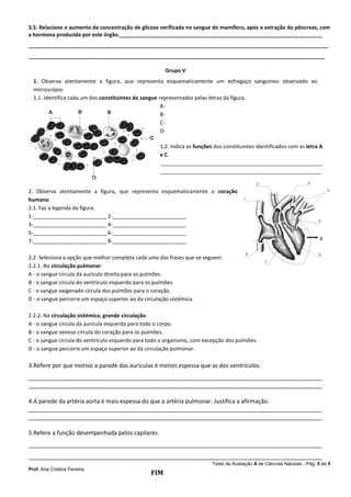 Teste de Avaliação A de Ciências Naturais - Pág. 5 de 5
Prof. Ana Cristina Ferreira
3.5. Relacione o aumento da concentração de glicose verificada no sangue do mamífero, após a extração do pâncreas, com
a hormona produzida por este órgão._____________________________________________________________________
______________________________________________________________________________________________________
_____________________________________________________________________________________________________
Grupo V
1. Observa atentamente a figura, que representa esquematicamente um esfregaço sanguíneo observado ao
microscópio.
1.1. Identifica cada um dos constituintes do sangue representados pelas letras da figura.
A-
B-
C-
D-
1.2. Indica as funções dos constituintes identificados com as letra A
e C.
_______________________________________________________
_______________________________________________________
2. Observa atentamente a figura, que representa esquematicamente o coração
humano.
2.1. Faz a legenda da figura.
1-_________________________ 2-_________________________
3-_________________________ 4-_________________________
5-_________________________ 6-_________________________
7-_________________________ 8-_________________________
2.2. Seleciona a opção que melhor completa cada uma das frases que se seguem:
2.2.1. Na circulação pulmonar:
A - o sangue circula da aurícula direita para os pulmões.
B - o sangue circula do ventrículo esquerdo para os pulmões.
C - o sangue oxigenado circula dos pulmões para o coração.
D - o sangue percorre um espaço superior ao da circulação sistémica.
2.2.2. Na circulação sistémica, grande circulação:
A - o sangue circula da aurícula esquerda para todo o corpo.
B - o sangue venoso circula do coração para os pulmões.
C - o sangue circula do ventrículo esquerdo para todo o organismo, com excepção dos pulmões.
D - o sangue percorre um espaço superior ao da circulação pulmonar.
3.Refere por que motivo a parede das aurículas é menos espessa que as dos ventrículos.
___________________________________________________________________________________________
___________________________________________________________________________________________
4.A parede da artéria aorta é mais espessa do que a artéria pulmonar. Justifica a afirmação.
___________________________________________________________________________________________
___________________________________________________________________________________________
5.Refere a função desempenhada pelos capilares.
___________________________________________________________________________________________
___________________________________________________________________________________________
FIM
8
 