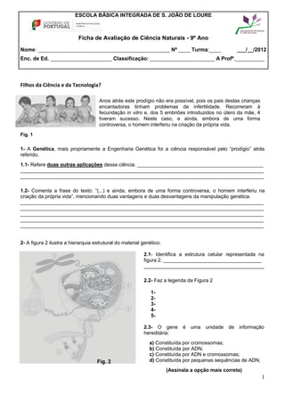 ESCOLA BÁSICA INTEGRADA DE S. JOÃO DE LOURE



                           Ficha de Avaliação de Ciência Naturais - 9º Ano

Nome: _____________________________________________ Nº ____ Turma:____                              ___/__/2012
Enc. de Ed. _____________________ Classificação: ______________________ A Profª.__________




Filhos da Ciência e da Tecnologia?

                                     Anos atrás este prodígio não era possível, pois os pais destas crianças
                                     encantadoras tinham problemas de infertilidade. Recorreram à
                                     fecundação in vitro e, dos 5 embriões introduzidos no útero da mãe, 4
                                     tiveram sucesso. Neste caso, e ainda, embora de uma forma
                                     controversa, o homem interferiu na criação da própria vida.
Fig. 1


1- A Genética, mais propriamente a Engenharia Genética foi a ciência responsável pelo “prodígio” atrás
referido.
1.1- Refere duas outras aplicações dessa ciência. _____________________________________________
_______________________________________________________________________________________
_______________________________________________________________________________________

1.2- Comenta a frase do texto: “(...) e ainda, embora de uma forma controversa, o homem interferiu na
criação da própria vida”, mencionando duas vantagens e duas desvantagens da manipulação genética.
_______________________________________________________________________________________
_______________________________________________________________________________________
_______________________________________________________________________________________
_______________________________________________________________________________________
_______________________________________________________________________________________


2- A figura 2 ilustra a hierarquia estrutural do material genético.

                                                          2.1- Identifica a estrutura celular representada na
                                                          figura 2. ___________________________________
                                                          ___________________________________________

                                                          2.2- Faz a legenda da Figura 2

                                                              1-
                                                              2-
                                                              3-
                                                              4-
                                                              5-

                                                          2.3- O gene       é   uma unidade    de   informação
                                                          hereditária:
                                                             a) Constituída por cromossomas;
                                                             b) Constituída por ADN;
                                                             c) Constituída por ADN e cromossomas;
                                    Fig. 2                   d) Constituída por pequenas sequências de ADN.
                                                                      (Assinala a opção mais correta)
                                                                                                               1
 