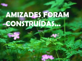 AMIZADES FORAM CONSTRUÍDAS... 