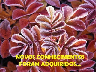 NOVOS CONHECIMENTOS FORAM ADQUIRIDOS... 