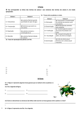 II Parte
          Faz corresponder as letras dos termos da coluna I aos números dos termos da coluna II, de modo
         apropriado:

                                                                             11 – Trocas entre as plantas e o meio.
                 Coluna I                          Coluna II
                                                                                         Coluna I                       Coluna II
                                        a) as plantas libertam grande                                      a) Crescimento e transformação
         1 – Fotossíntese               quantidade de vapor de água                 1- Polinização         do embrião da semente numa
                                                                                                           nova planta.
                                        b) fenómeno que ocorre na                                          b) Distribuição das sementes
         2 – Transpiração                                                           2- Disseminação
                                        zona pilosa                                                        pelo ambiente.
                                                                                                           c) Transformação do ovário e
         3 - Respiração                 c) as plantas renovam a                     3 – Frutificação       dos óvulos fecundados num
                                        constituição do ar                                                 fruto.
                                                                                                           d) Transporte dos grãos de
         4 - Absorção             d) as plantas libertam dióxido                    4 - Fecundação         pólen, da antera ao estigma.
                                  de carbono
         12- Fases de reprodução das plantas com flor.                                                     e) União da célula sexual
                                                                                    5- Germinação          feminina com a célula sexual
                                                                                                           masculina.




                                                                                             1-
         1-
         2-                                                                            2-
         3-                                                                            3-
         4-                                                                            4-
                                                                                       5-

                                                                        III Parte

        13 – A figura 1 representa algumas trocas gasosas que se realizam entre as plantas e o
        meio.
        13.1 Faz a legenda da figura.

        1 - __________________________           2 -_____________________________

        3 - __________________________           4 -_____________________________

                                                                                                       Fig.1

        13.2 Como se denominam as estruturas das folhas onde ocorrem as trocas gasosas entre a planta e o meio?
        ________________________________________________________________________________________________________
        _

 3
1A      14 - A figura 2 representa uma flor. Faz a legenda.
figur
 