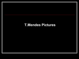 T.Mendes Pictures
 