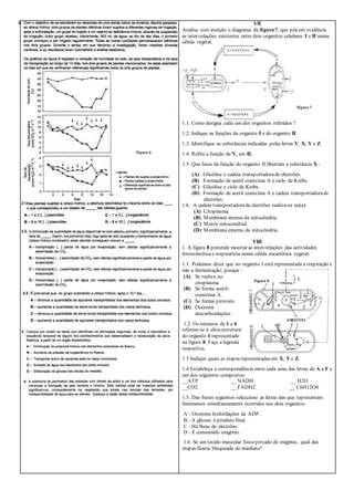VII
Analise com atenção o diagrama da figura 7, que põeem evidência
as inter-relações existentes entre dois organitos celulares I e II numa
célula vegetal.
1.1. Como designa cada um dos organitos referidos ?
1.2. Indique as funções do organito I e do organito II.
1.3. Identifique as substâncias indicadas pelas letras V, X, Y e Z.
1.4. Refira a função de Y, em II.
1.5. Que fases da função do organito II libertam a substância X :
(A) Glicólise e cadeia transportadorade electrões.
(B) Formação de acetil coenzima A e ciclo de Krebs.
(C) Glicólise e ciclo de Krebs.
(D) Formação de acetil coenzima A e cadeia transportadorade
electrões.
1.6. A cadeia transportadorade electrões realiza-se no(a):
(A) Citoplasma.
(B) Membrana interna da mitocôndria.
(C) Matriz mitocondrial.
(D) Membrana externa da mitocôndria.
VIII
1. A figura 8 pretende mostrar as inter-relações das actividades
fotossintéticae respiratória numa célula eucariótica vegetal.
1.1. Podemos dizer que no organito I está representada a respiração e
não a fermentação, porque :
(A) Se realiza no
citoplasma.
(B) Se forma acetil-
coenzima A.
(C) Se forma piruvato.
(D) Ocorrem
descarboxilações.
1.2. Os números de 1 a 4
referem-se à ultra-estrutura
do organito I representado
na figura 8. Faça a legenda
respectiva.
1.3 Indique quais as etapas representadas em X, Y e Z.
1.4 Estabeleça a correspondência entre cada uma das letras de A a F e
um dos seguintes compostos:
__ATP __ NADH __ H2O
__CO2 __ FADH2 __ C6H12O6
1.5. Das frases seguintes seleccione as letras das que representam
fenómenos simultaneamente ocorridos nos dois organitos.
A - Ocorrem fosforilações de ADP.
B - A glicose é produto final.
C - Há fluxo de electrões.
D - É consumido oxigénio.
1.6. Se um tecido muscular fosseprivado de oxigénio, qual das
etapas ficaria bloqueada de imediato?
Figura 7
Figura 6
Figura 8
 