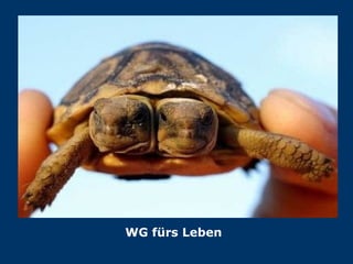 WG fürs Leben 