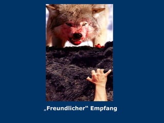 „ Freundlicher“ Empfang 