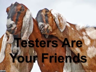 Testers Are
Your Friends
Image credithttp://www.flickr.com/photos/cityhunter12/2700057387/sizes/l/in/photostream/

 