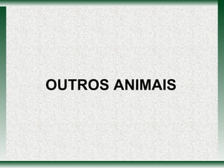 OUTROS ANIMAIS 