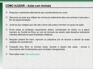 COMO AJUDAR – Aulas com Animais Pesquise e apresente alternativas aos coordenadores do curso;  Denuncie as aulas que inflijam às normas do tratamento ético aos animais e lute para o fim da experimentação;  Junte-se aos colegas que não são a favor das aulas e formem um grupo de ação; Envie cartas ao professor responsável, diretor, coordenador do centro, ou à algum membro do Comitê de Ética no Uso de Animais (se existir) pela disciplina solicitando métodos alternativos para finalidades didáticas; Ninguém poderá lhe banir, reprovar ou prejudicar por se recusar a assistir as aulas (objeção de consciência); Fotografe e/ou filme os animais antes, durante e depois das aulas - provas e documentos são fundamentais para combater transgressões. Para saber mais:  www.pea.org.br   
