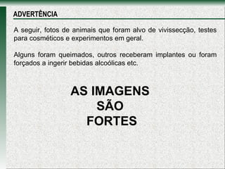 A seguir, fotos de animais que foram alvo de vivissecção, testes para cosméticos e experimentos em geral.  Alguns foram queimados, outros receberam implantes ou foram forçados a ingerir bebidas alcoólicas etc. ADVERTÊNCIA AS IMAGENS  SÃO  FORTES 