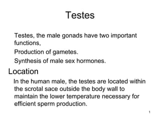 Testes
Testes, the male gonads have two important
functions,
Production of gametes.
Synthesis of male sex hormones.
Location
In the human male, the testes are located within
the scrotal sace outside the body wall to
maintain the lower temperature necessary for
efficient sperm production.
1
 