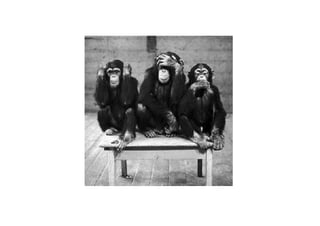 Testes e Refatoração