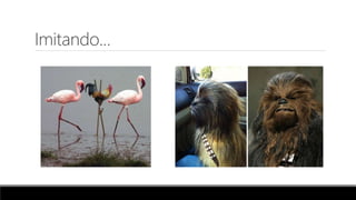 Imitando...
 