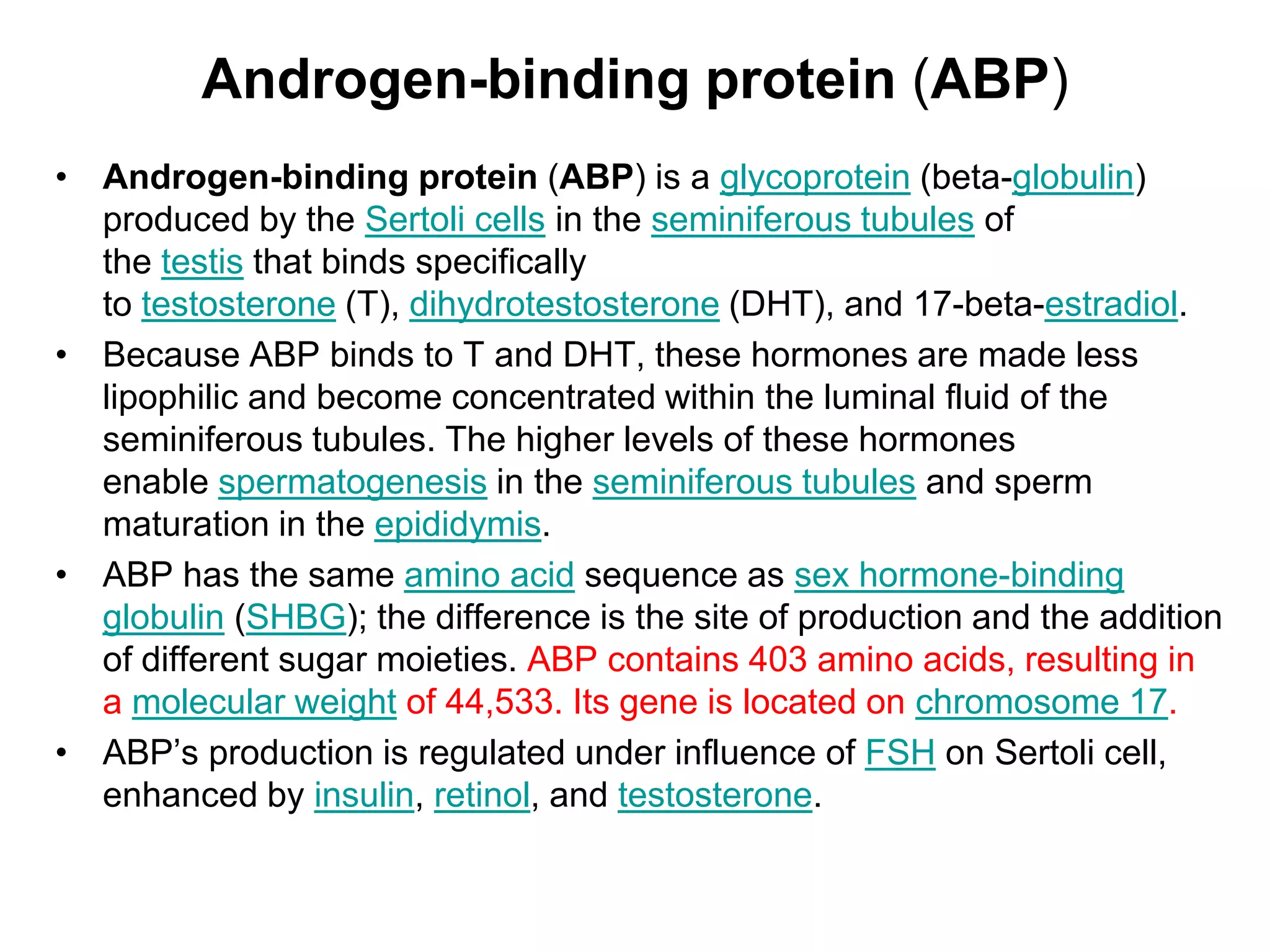 Testes: structure & endocrine function | PDF