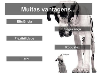 Testes Automatizados de Software