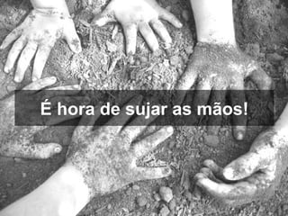 Testes Automatizados de Software