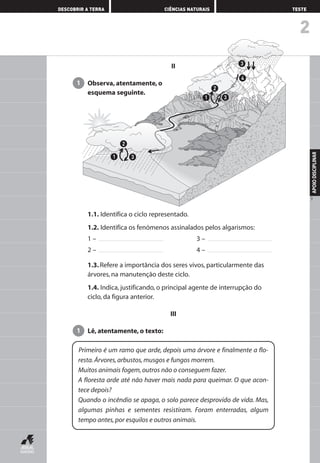 2
DESCOBRIR A TERRA CIÊNCIAS NATURAIS TESTE
APOIODISCIPLINAR
9
1.1. Identifica o ciclo representado.
1.2. Identifica os fenómenos assinalados pelos algarismos:
1 – 3 –
2 – 4 –
1.3. Refere a importância dos seres vivos, particularmente das
árvores, na manutenção deste ciclo.
1.4. Indica, justificando, o principal agente de interrupção do
ciclo, da figura anterior.
III
Lê, atentamente, o texto:1
Primeiro é um ramo que arde, depois uma árvore e finalmente a flo-
resta.Árvores,arbustos,musgos e fungos morrem.
Muitos animais fogem,outros não o conseguem fazer.
A floresta arde até não haver mais nada para queimar. O que acon-
tece depois?
Quando o incêndio se apaga, o solo parece desprovido de vida. Mas,
algumas pinhas e sementes resistiram. Foram enterradas, algum
tempo antes,por esquilos e outros animais.
4
2
31
3
31
2
II
Observa, atentamente, o
esquema seguinte.
1
AEDPROF8_F01_F02_2PPI 10/24/03 12:23 PM Página 9
 