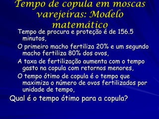 Tempo de copula em moscas
varejeiras: Modelo
matemático

Tempo de procura e proteção é de 156.5
minutos,
O primeiro macho fertiliza 20% e um segundo
macho fertiliza 80% dos ovos,
A taxa de fertilização aumenta com o tempo
gasto na copula com retornos menores,
O tempo ótimo de copula é o tempo que
maximiza o número de ovos fertilizados por
unidade de tempo,

Qual é o tempo ótimo para a copula?

 