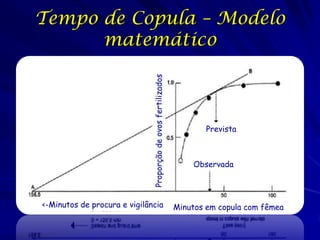 Proporção de ovos fertilizados

Tempo de Copula – Modelo
matemático

<-Minutos de procura e vigilância

Prevista

Observada

Minutos em copula com fêmea

 