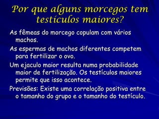 Por que alguns morcegos tem
testículos maiores?
As fêmeas do morcego copulam com vários
machos.
As espermas de machos diferentes competem
para fertilizar o ovo.
Um ejaculo maior resulta numa probabilidade
maior de fertilização. Os testículos maiores
permite que isso acontece.
Previsões: Existe uma correlação positiva entre
o tamanho do grupo e o tamanho do testículo.

 