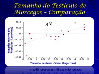 Tamanho relativo dos
Testículos (Logaritmo)

Tamanho do Testículo de
Morcegos – Comparação

Tamanho do Grupo /social (Logaritmo)

 