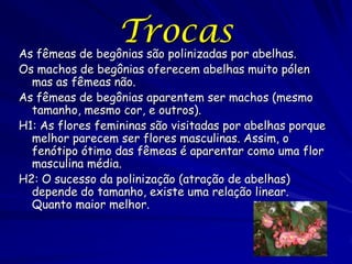 Trocas

As fêmeas de begônias são polinizadas por abelhas.
Os machos de begônias oferecem abelhas muito pólen
mas as fêmeas não.
As fêmeas de begônias aparentem ser machos (mesmo
tamanho, mesmo cor, e outros).
H1: As flores femininas são visitadas por abelhas porque
melhor parecem ser flores masculinas. Assim, o
fenótipo ótimo das fêmeas é aparentar como uma flor
masculina média.
H2: O sucesso da polinização (atração de abelhas)
depende do tamanho, existe uma relação linear.
Quanto maior melhor.

 