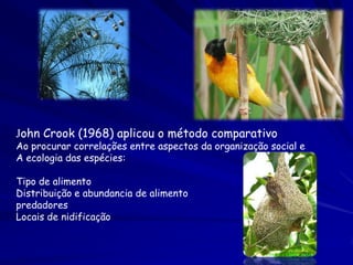 John Crook (1968) aplicou o método comparativo

Ao procurar correlações entre aspectos da organização social e
A ecologia das espécies:
Tipo de alimento
Distribuição e abundancia de alimento
predadores
Locais de nidificação

 