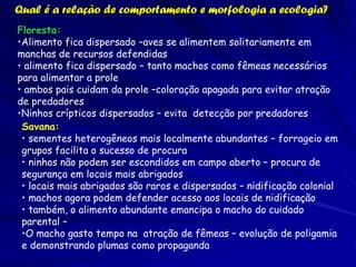 Qual é a relação de comportamento e morfologia a ecologia?
Floresta:
•Alimento fica dispersado –aves se alimentem solitariamente em
manchas de recursos defendidas
• alimento fica dispersado – tanto machos como fêmeas necessários
para alimentar a prole
• ambos pais cuidam da prole –coloração apagada para evitar atração
de predadores
•Ninhos crípticos dispersados – evita detecção por predadores
Savana:
• sementes heterogêneos mais localmente abundantes – forrageio em
grupos facilita o sucesso de procura
• ninhos não podem ser escondidos em campo aberto – procura de
segurança em locais mais abrigados
• locais mais abrigados são raros e dispersados – nidificação colonial
• machos agora podem defender acesso aos locais de nidificação
• também, o alimento abundante emancipa o macho do cuidado
parental –
•O macho gasto tempo na atração de fêmeas – evolução de poligamia
e demonstrando plumas como propaganda

 