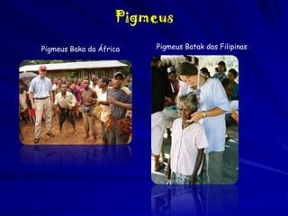 Pigmeus
Pigmeus Baka da África

Pigmeus Batak das Filipinas

 