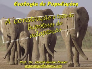Ecologia de Populações

Prof. Dr. Harold Gordon Fowler
popecologia@hotmail.com

 