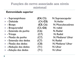 Funções do nervo associado aos níveis
miotonal
Extremidade superior
 - Supraespinhoso (C4, C5) N. Supraescapular
 - Deltóide (C4, C5) N.Axilar
 - Biceps (C5, C6) N. Musculocutâneo
 - Braquioradial (C5, C6) N. radial
 - Extensão do punho (C6) N. Radial
 - Tríceps (C7) N. Radial
 - Flexão do punho (C7) N. Mediano/ Ulnar
 - Extensão dos dedos (C7) N. Radial
 - Flexão dos dedos (C8) N. Mediano/ Ulnar
 - Abdução dos dedos (T1) N. Ulnar
 - Adução dos dedos (T1) N. Ulnar
 