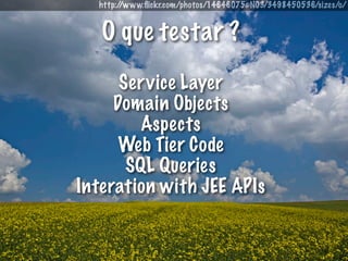 http://www.ﬂickr.com/photos/14646075@N03/3498450536/sizes/o/


   O que testar ?
      Ser vice Layer
     Domain Objects
         Aspects
      Web Tier Code
       SQL Queries
Interation with JEE APIs
 