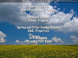 http://www.ﬂickr.com/photos/14646075@N03/3498450536/sizes/o/


        Non-Java Code
  Store Procedures / Scripts

       ...