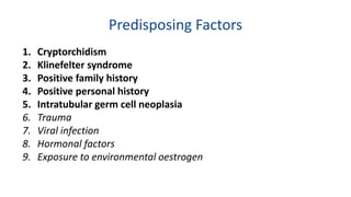 Predisposing Factors 
1. Cryptorchidism 
2. Klinefelter syndrome 
3. Positive family history 
4. Positive personal history 
5. Intratubular germ cell neoplasia 
6. Trauma 
7. Viral infection 
8. Hormonal factors 
9. Exposure to environmental oestrogen 
 