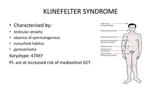 KLINEFELTER SYNDROME 
• Characterised by: 
• testicular atrophy 
• absence of spermatogenesis 
• eunuchoid habitus 
• gynecomastia 
Karyotype: 47XXY 
Pt. are at increased risk of mediastinal GCT 
 