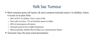 Yolk Sac Tumour 
 Most common germ cell tumor ( & most common testicular tumor ) in children, where 
it occurs in its pure form. 
– 60% of GCT in children. First 2 years of life. 
– Pure yolk sac tumor <2% of testicular tumors in adults 
– 40% of mixed germ-cell tumors. 
– Elevated serum levels of alpha-fetoprotein. 
– Microscopically, Schiller-Duval bodies are a characteristic feature 
 Testicular mass the most usual presentation. 
 