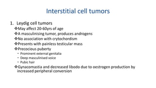 Interstitial cell tumors 
1. Leydig cell tumors 
May affect 20-60yrs of age 
A masculinising tumor, produces androgens 
No association with crytochordism 
Presents with painless testicular mass 
Precocious puberty 
 Prominent external genitalia 
 Deep masculinised voice 
 Pubic hair 
Gynacomastia and decreased libodo due to oestrogen production by 
increased peripheral conversion 
 