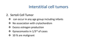 Interstitial cell tumors 
2. Sertoli Cell Tumor 
 can occur in any age group including infants 
 No association with crytochordism 
 Excess estrogen production 
 Gynacomastia in 1/3rd of cases 
 10 % are malignant 
 