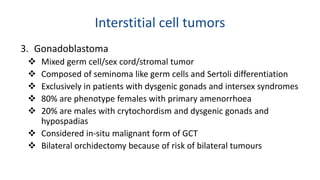 Interstitial cell tumors 
3. Gonadoblastoma 
 Mixed germ cell/sex cord/stromal tumor 
 Composed of seminoma like germ cells and Sertoli differentiation 
 Exclusively in patients with dysgenic gonads and intersex syndromes 
 80% are phenotype females with primary amenorrhoea 
 20% are males with crytochordism and dysgenic gonads and 
hypospadias 
 Considered in-situ malignant form of GCT 
 Bilateral orchidectomy because of risk of bilateral tumours 
 