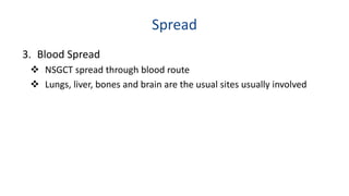 Spread 
3. Blood Spread 
 NSGCT spread through blood route 
 Lungs, liver, bones and brain are the usual sites usually involved 
 