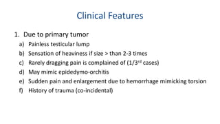 Clinical Features 
1. Due to primary tumor 
a) Painless testicular lump 
b) Sensation of heaviness if size > than 2-3 times 
c) Rarely dragging pain is complained of (1/3rd cases) 
d) May mimic epidedymo-orchitis 
e) Sudden pain and enlargement due to hemorrhage mimicking torsion 
f) History of trauma (co-incidental) 
 