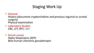 Staging Work Up 
• General 
History (document cryptorchidism and previous inguinal or scrotal 
surgery) 
Physical examination 
• Laboratory Studies 
CBC, LFT, RFT, LDH 
• Serum assays 
Alpha fetoprotein (AFP) 
Beta human chorionic gonadotropin 
 