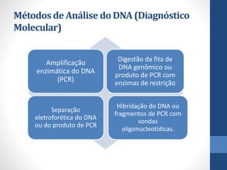 Métodos de Análise do DNA (Diagnóstico
Molecular)
Amplificação
enzimática do DNA
(PCR)
Digestão da fita de
DNA genômico ou
produto de PCR com
enzimas de restrição
Separação
eletroforética do DNA
ou do produto de PCR
Hibridação do DNA ou
fragmentos de PCR com
sondas
oligonucleotídicas.
 