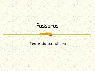 Passaros Teste do ppt share 