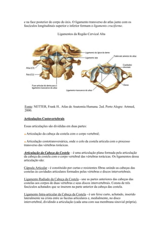 e na face posterior do corpo do áxis. O ligamento transverso do atlas junto com os
fascículos longitudinais superior e inferior formam o ligamento cruciforme.
Ligamentos da Região Cervical Alta
Fonte: NETTER, Frank H.. Atlas de Anatomia Humana. 2ed. Porto Alegre: Artmed,
2000.
Articulações Costovertebrais
Essas articulações são divididas em duas partes:
Articulação da cabeça da costela com o corpo vertebral;
Articulação costotransversárica, onde o colo da costela articula com o processo
transverso das vértebras torácicas.
Articulação da Cabeça da Costela – é uma articulação plana formada pela articulação
da cabeça da costela com o corpo vertebral das vértebras torácicas. Os ligamentos dessa
articulação são:
Cápsula Articular - é constituído por curtas e resistentes fibras unindo as cabeças das
costelas às cavidades articulares formados pelas vértebras e discos intervertebrais.
Ligamento Radiado da Cabeça da Costela - une as partes anteriores das cabeças das
costelas aos corpos de duas vértebras e seus discos intervertebrais. Consta de três
fascículos achatados que se inserem na parte anterior da cabeça das costela.
Ligamento Intra-articular da Cabeça da Costela - é um feixe curto, achatado, inserido
lateralmente na crista entre as facetas articulares e, medialmente, no disco
intervertebral, dividindo a articulação (cada uma com sua membrana sinovial própria).
 