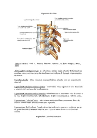 Ligamento Radiado
Fonte: NETTER, Frank H.. Atlas de Anatomia Humana. 2ed. Porto Alegre: Artmed,
2000.
Articulação Costotransversais - é a articulação entre a faceta articular do tubérculo da
costela e o processo transverso da vértebra correspondente. É formada pelas seguintes
estruturas:
Cápsula Articular - é fina e inserida na circunferência articular com um revestimento
sinovial.
Ligamento Costotransversário Superior - insere-se na borda superior do colo da costela
e no processo transverso da vértebra acima.
Ligamento Costotransversário Posterior - são fibras que se inserem no colo da costela e
na base do processo transverso e borda lateral do processo articular da vértebra acima.
Ligamento do Colo da Costela - são curtas e resistentes fibras que unem o dorso do
colo da costela com o processo transverso adjacente.
Ligamento do Tubérculo da Costela - é um fascículo curto, espesso e resistente que se
dirige do ápice do processo transverso para a porção não articular do tubérculo da
costela.
Ligamentos Costotransversários
 