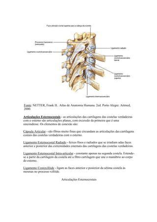 Fonte: NETTER, Frank H.. Atlas de Anatomia Humana. 2ed. Porto Alegre: Artmed,
2000.
Articulações Esternocostais - as articulações das cartilagens das costelas verdadeiras
com o esterno são articulações planas, com excessão da primeira que é uma
sincondrose. Os elementos de conexão são:
Cápsula Articular - são fibras muito finas que circundam as articulações das cartilagens
costais das costelas verdadeiras com o esterno.
Ligamento Esternocostal Radiado - feixes finos e radiados que se irradiam adas faces
anterior e posterior das extremidades esternais das cartilagens das costelas verdadeiras.
Ligamento Esternocostal Intra-articular - constante apenas na segunda costela. Estende-
se a partir da cartilagem da costela até a fibro cartilagem que une o manúbrio ao corpo
do esterno.
Ligamento Costoxifóide - ligam as faces anterior e posterior da sétima costela às
mesmas no processo xifóide.
Articulações Esternocostais
 