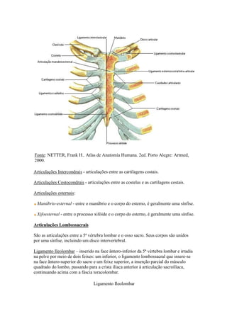 Fonte: NETTER, Frank H.. Atlas de Anatomia Humana. 2ed. Porto Alegre: Artmed,
2000.
Articulações Intercondrais - articulações entre as cartilagens costais.
Articulações Costocondrais - articulações entre as costelas e as cartilagens costais.
Articulações esternais:
Manúbrio-esternal - entre o manúbrio e o corpo do esterno, é geralmente uma sínfise.
Xifoesternal - entre o processo xifóide e o corpo do esterno, é geralmente uma sínfise.
Articulações Lombossacrais
São as articulações entre a 5ª vértebra lombar e o osso sacro. Seus corpos são unidos
por uma sínfise, incluindo um disco intervertebral.
Ligamento Ileolombar – inserido na face ântero-inferior da 5ª vértebra lombar e irradia
na pelve por meio de dois feixes: um inferior, o ligamento lombossacral que insere-se
na face ântero-superior do sacro e um feixe superior, a inserção parcial do músculo
quadrado do lombo, passando para a crista ilíaca anterior à articulação sacroilíaca,
continuando acima com a fáscia toracolombar.
Ligamento Ileolombar
 